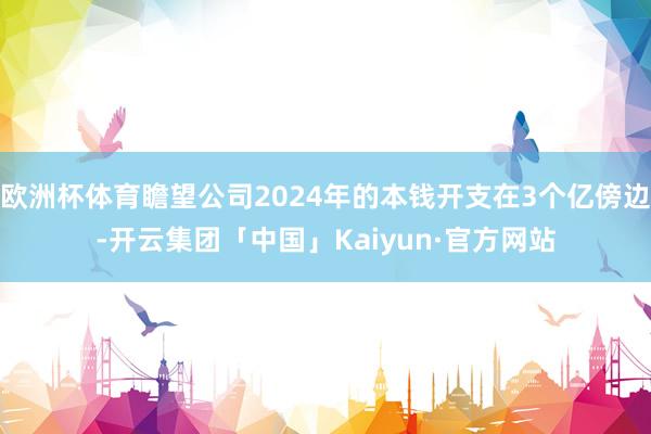 欧洲杯体育瞻望公司2024年的本钱开支在3个亿傍边-开云集团「中国」Kaiyun·官方网站